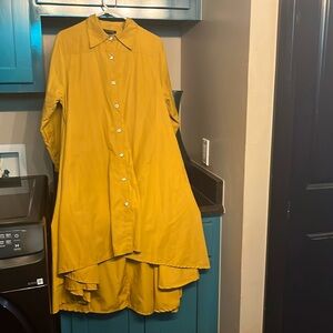 Step in Style Tent Swing Tunic Dress Shirt